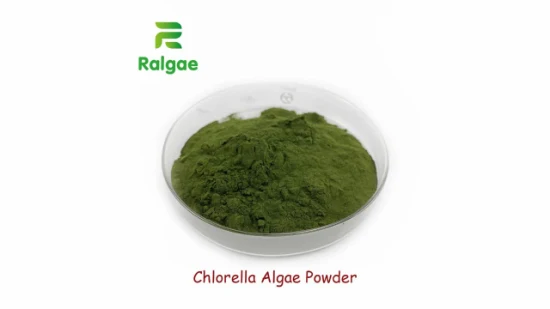 Additif naturel d'algues de qualité alimentaire en poudre de chlorelle