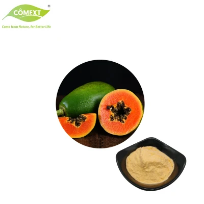 Comext fournit un échantillon gratuit d'extrait naturel de papaye en poudre de papaïne enzymatique