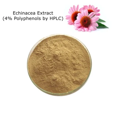 Extrait d'échinacée 100 % naturel (4 % de polyphénols par HPLC) comme additifs alimentaires