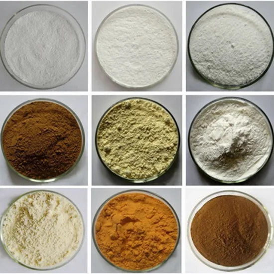 Additifs alimentaires poudre brute Radix Notoginseng extrait poudre 80% Panax Notoginsenosides