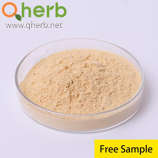 Ginseng sibérien PE 10 1 CAS 90045