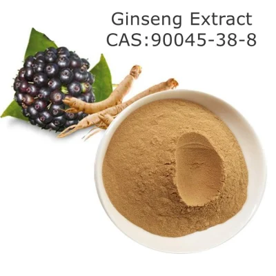 Poudre 100% naturelle CAS 90045 d'extrait de racine de ginseng de Panax de soins de santé